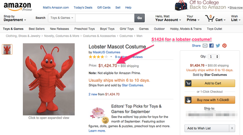 Amazon product page Alt text